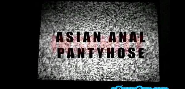  Asian Anal Pantyhose Insanity